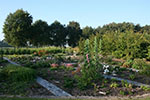 Tuin de Hunne